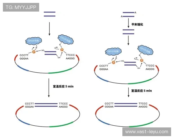 球整体过线才算进球？一文说清门线规则判定标准